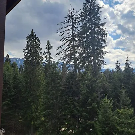 Premium Studioapartment In Borovets Gardens *